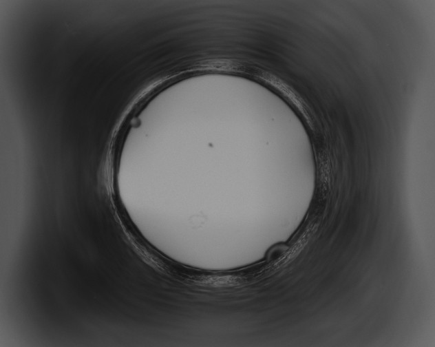 X0000100191131200806201249