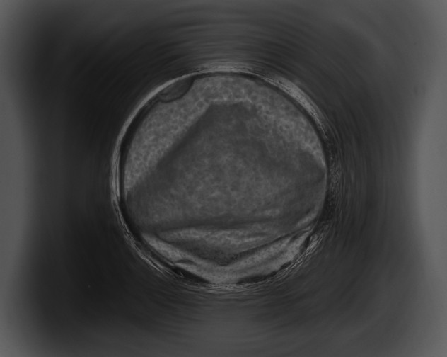 X0000100191132200806201249