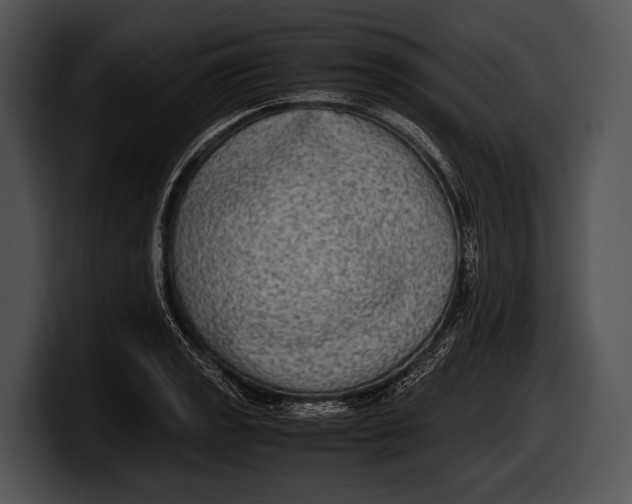 X0000100191133200806201249