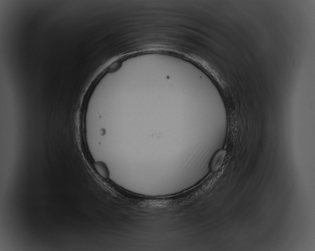 X0000100191134200806201249