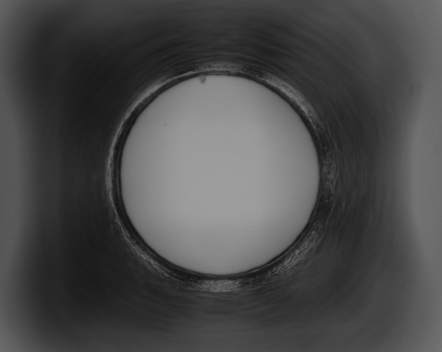 X0000100191135200806201249