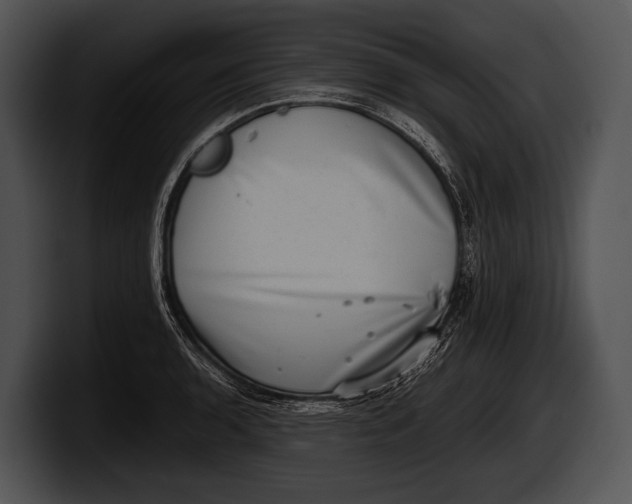 X0000100191136200806201249