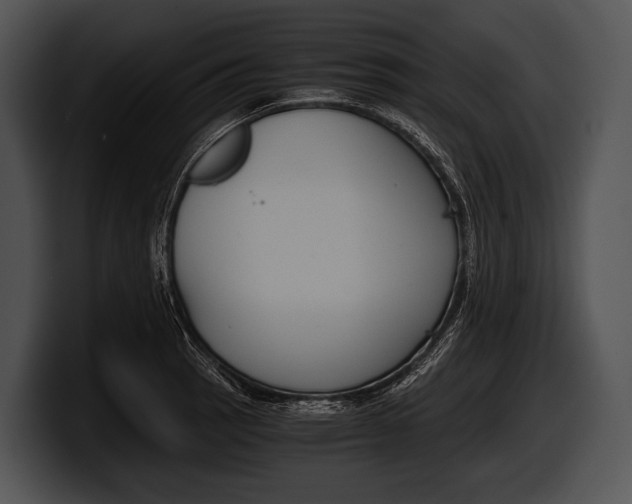 X0000100191137200806201249