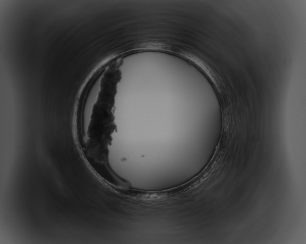 X0000100191139200806201249