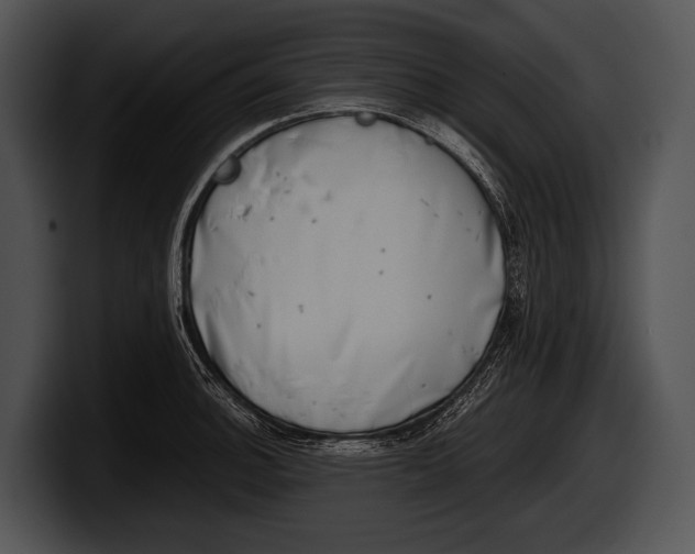 X0000100191140200806201249