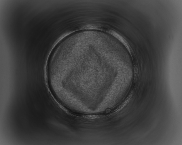 X0000100191141200806201249