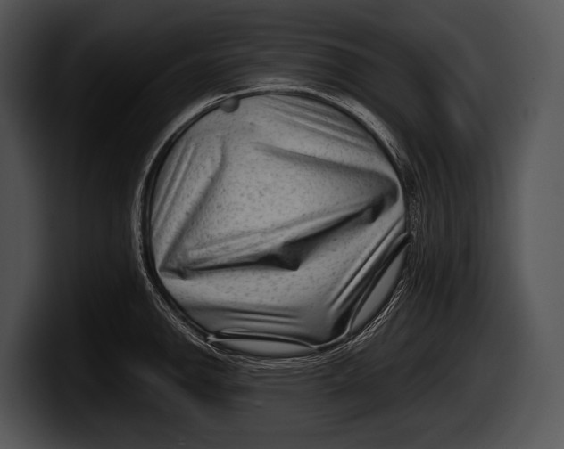 X0000100191142200806201249