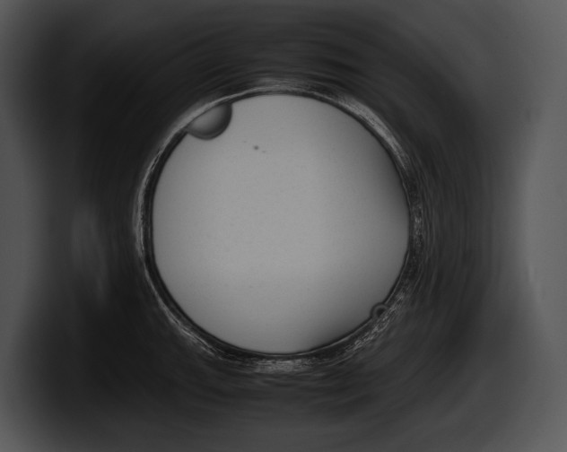 X0000100191143200806201249