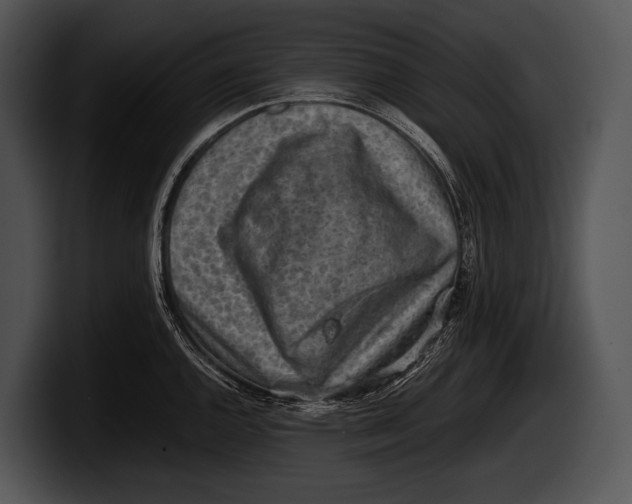 X0000100191144200806201249