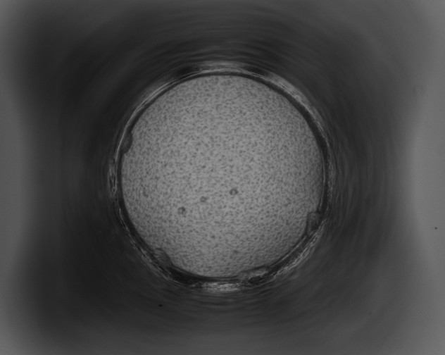 X0000100191145200806201249