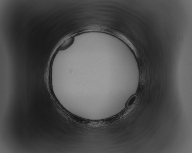 X0000100191146200806201249