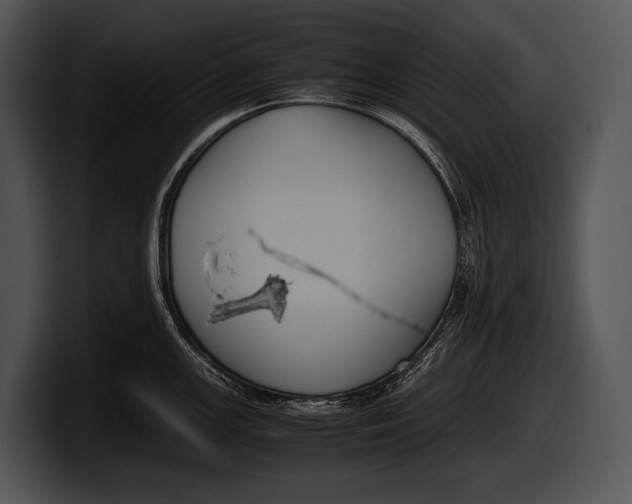 X0000100191147200806201249