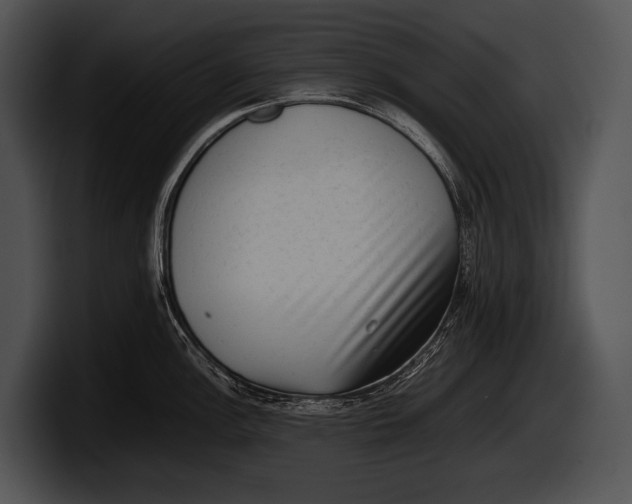 X0000100191148200806201249