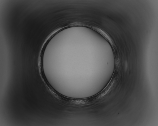 X0000100191149200806201249