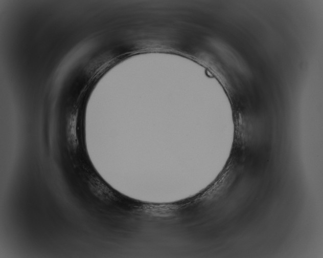 X0000100191150200806201249