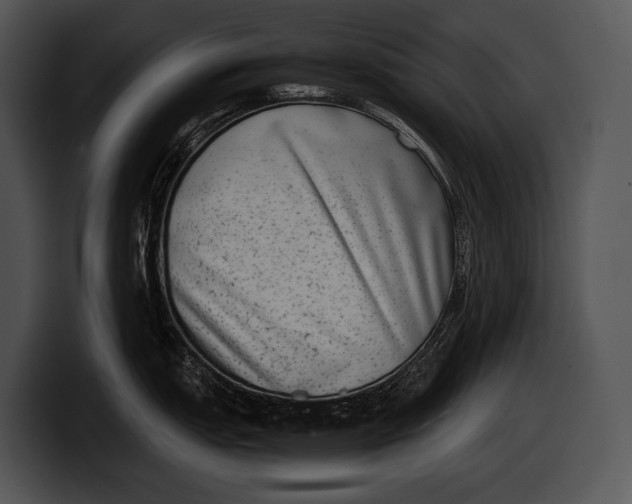 X0000100191151200806201249