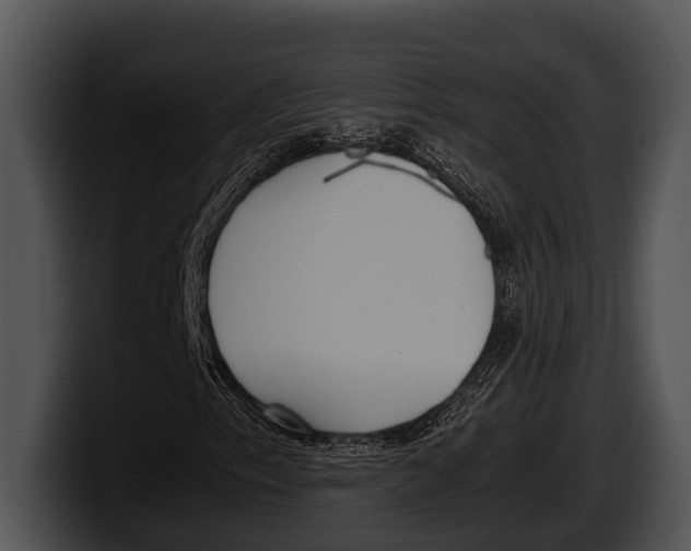 X0000100191153200806201249