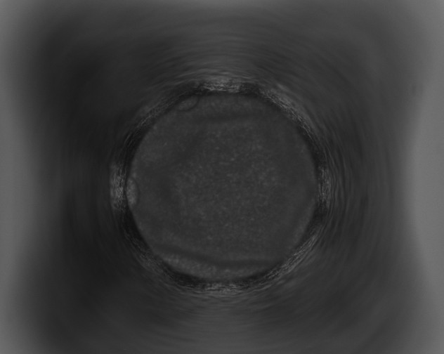 X0000100191154200806201248