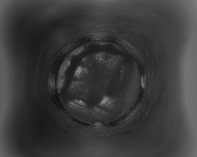 X0000100191155200806201248