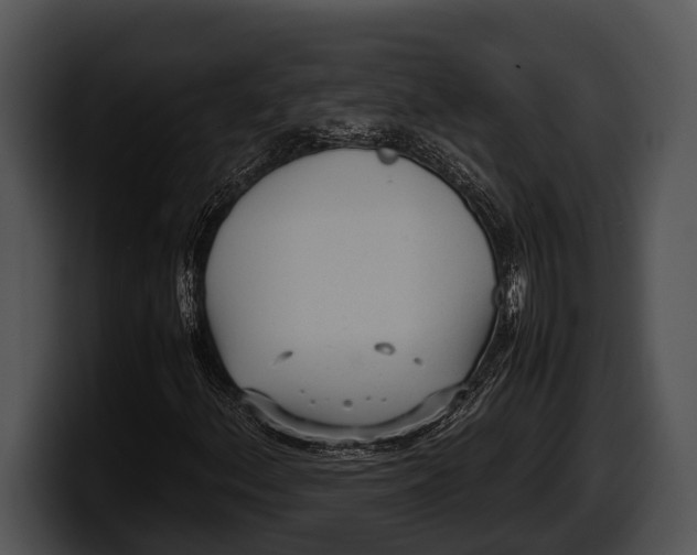 X0000100191156200806201248