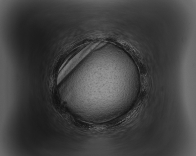 X0000100191157200806201248