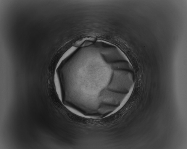 X0000100191158200806201248