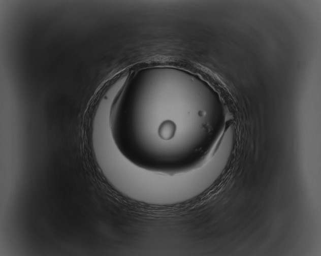 X0000100191160200806201248