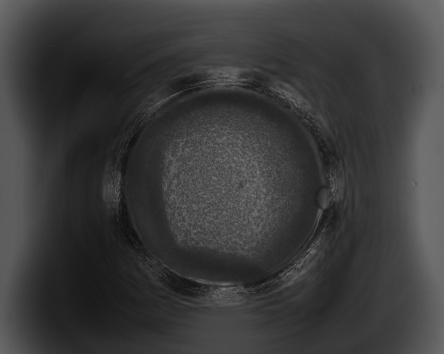 X0000100191161200806201248