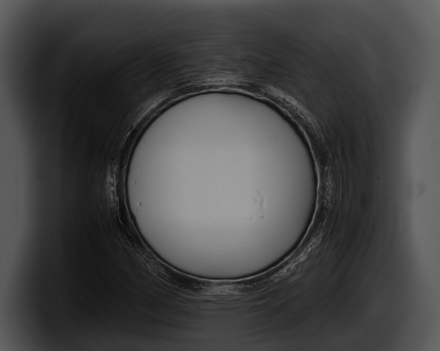 X0000100191162200806201248