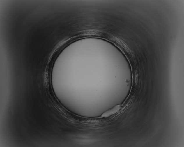 X0000100191164200806201248