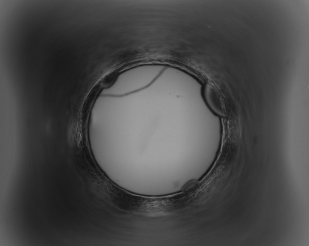 X0000100191165200806201248