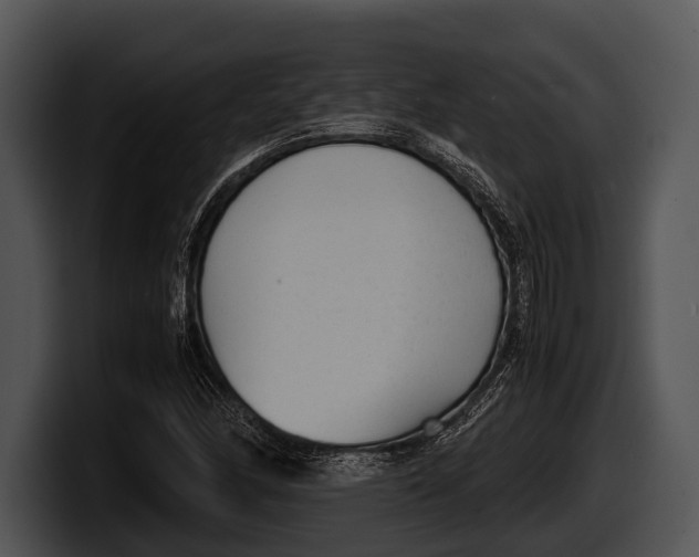 X0000100191166200806201248