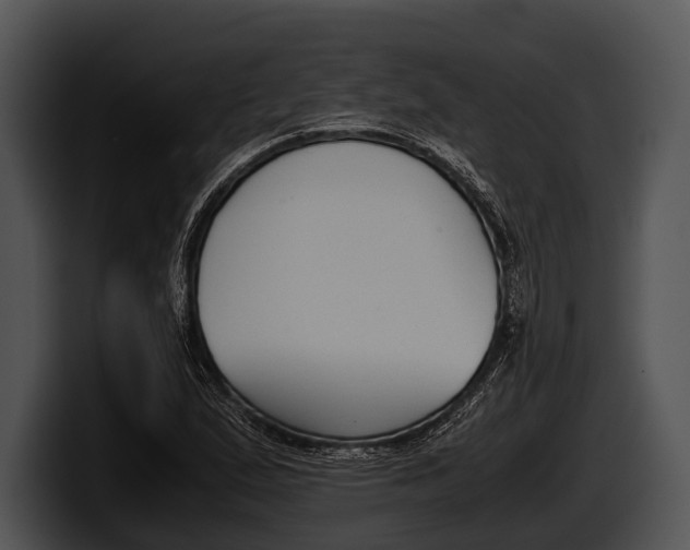 X0000100191167200806201248