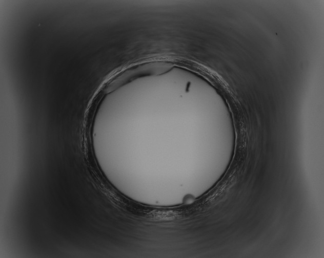 X0000100191168200806201248