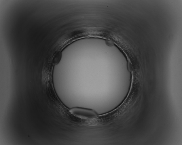 X0000100191169200806201248