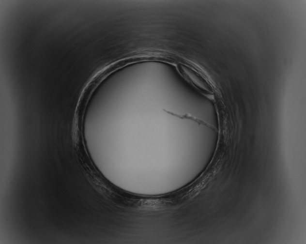 X0000100191172200806201248