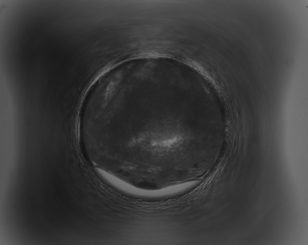 X0000100191173200806201248