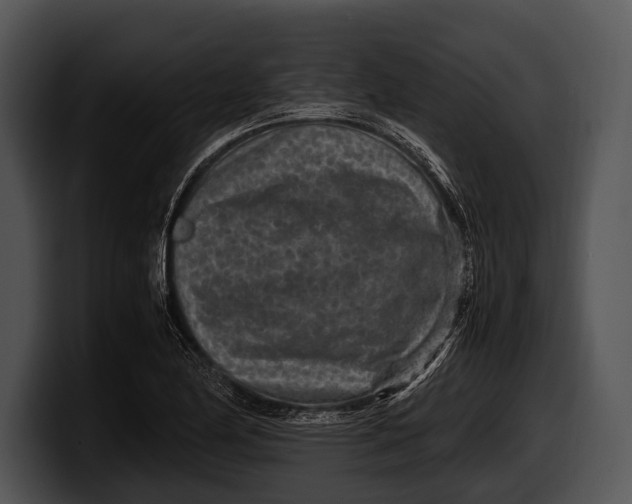 X0000100191174200806201248