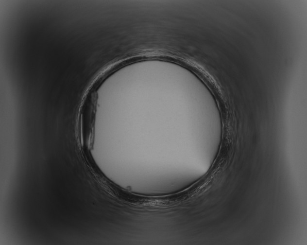 X0000100191175200806201248