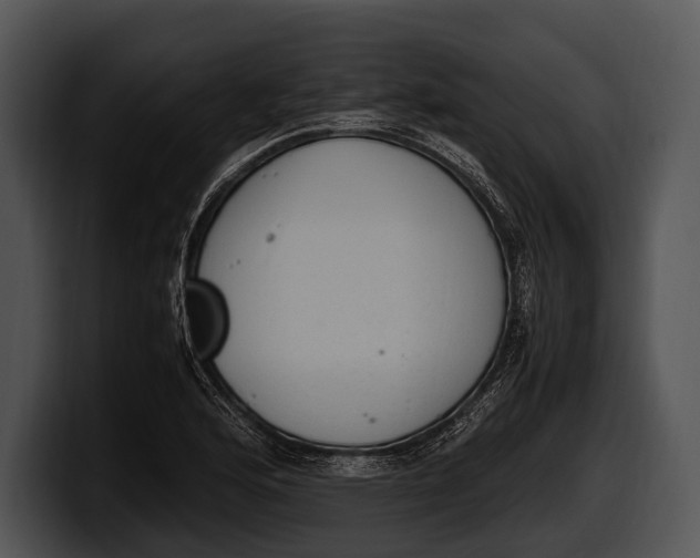 X0000100191176200806201248