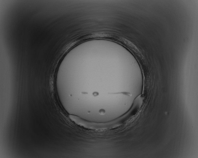 X0000100191177200806201248