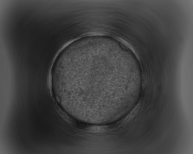 X0000100191179200806201248