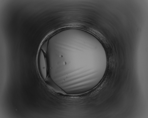 X0000100191180200806201248