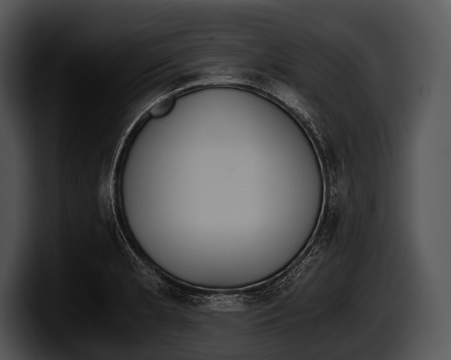 X0000100191181200806201248