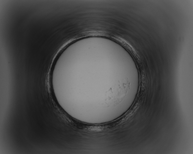 X0000100191182200806201248