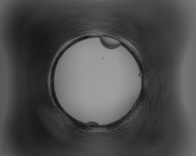 X0000100191183200806201248