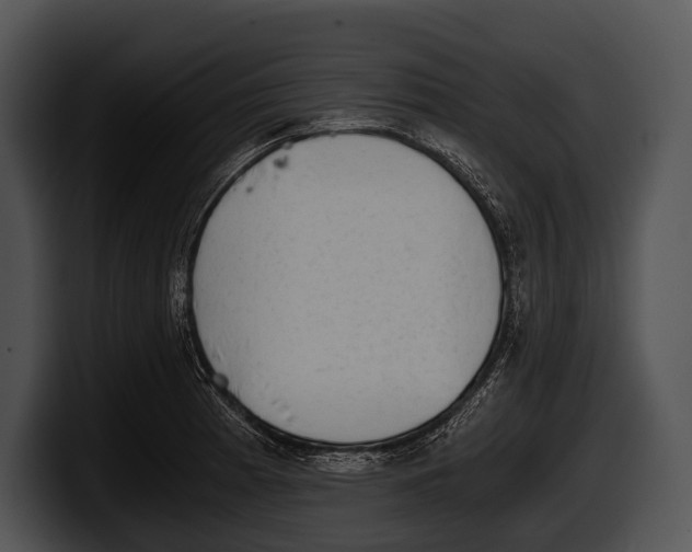 X0000100191185200806201248