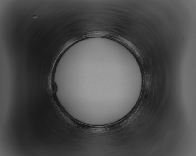 X0000100191186200806201248