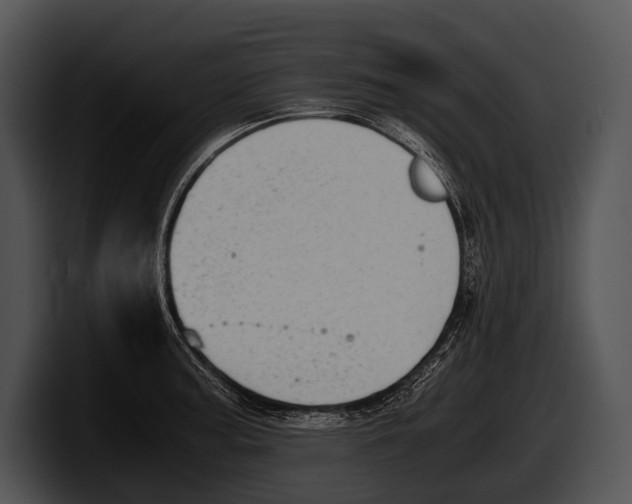 X0000100191187200806201248