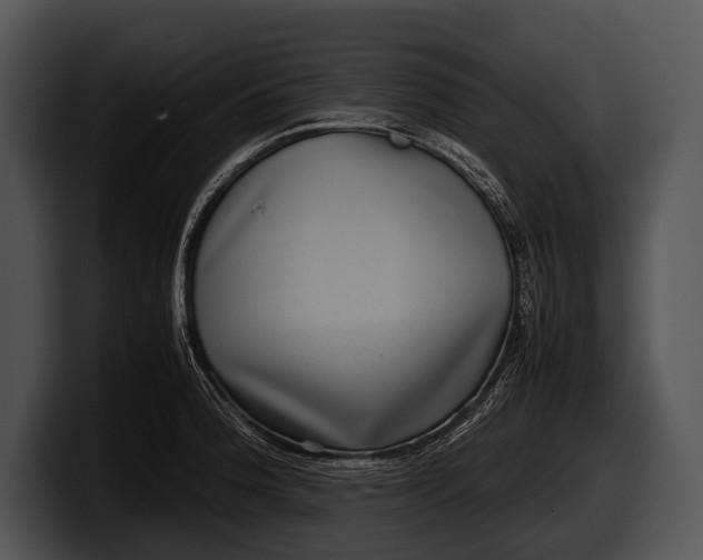 X0000100191188200806201248